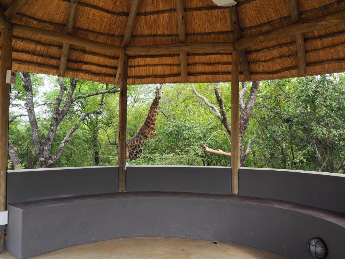 Willa Pata Pata House Marloth Park Zewnętrze zdjęcie